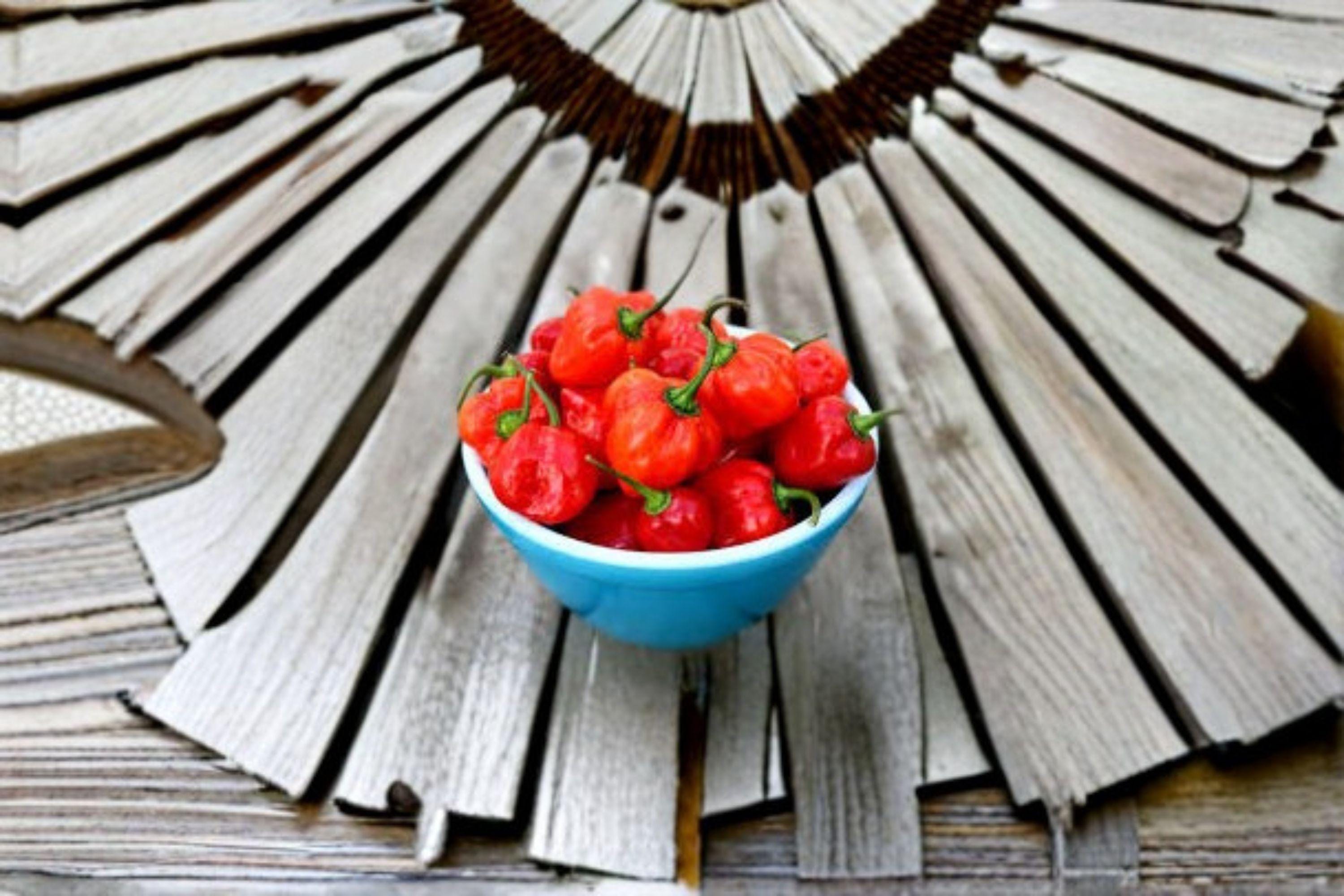 Scotch Bonnet – Red Hot Pepper 30 Seeds | Caribbean Classic | Fruity Heat | Extremely Hot Pepper