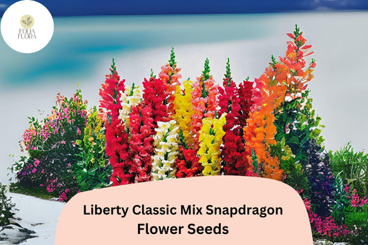 Antirrhinum majus Liberty Classic Mix Snapdragon Seeds – 1000+ Vibrant Blooms for Garden & Cut Flowers