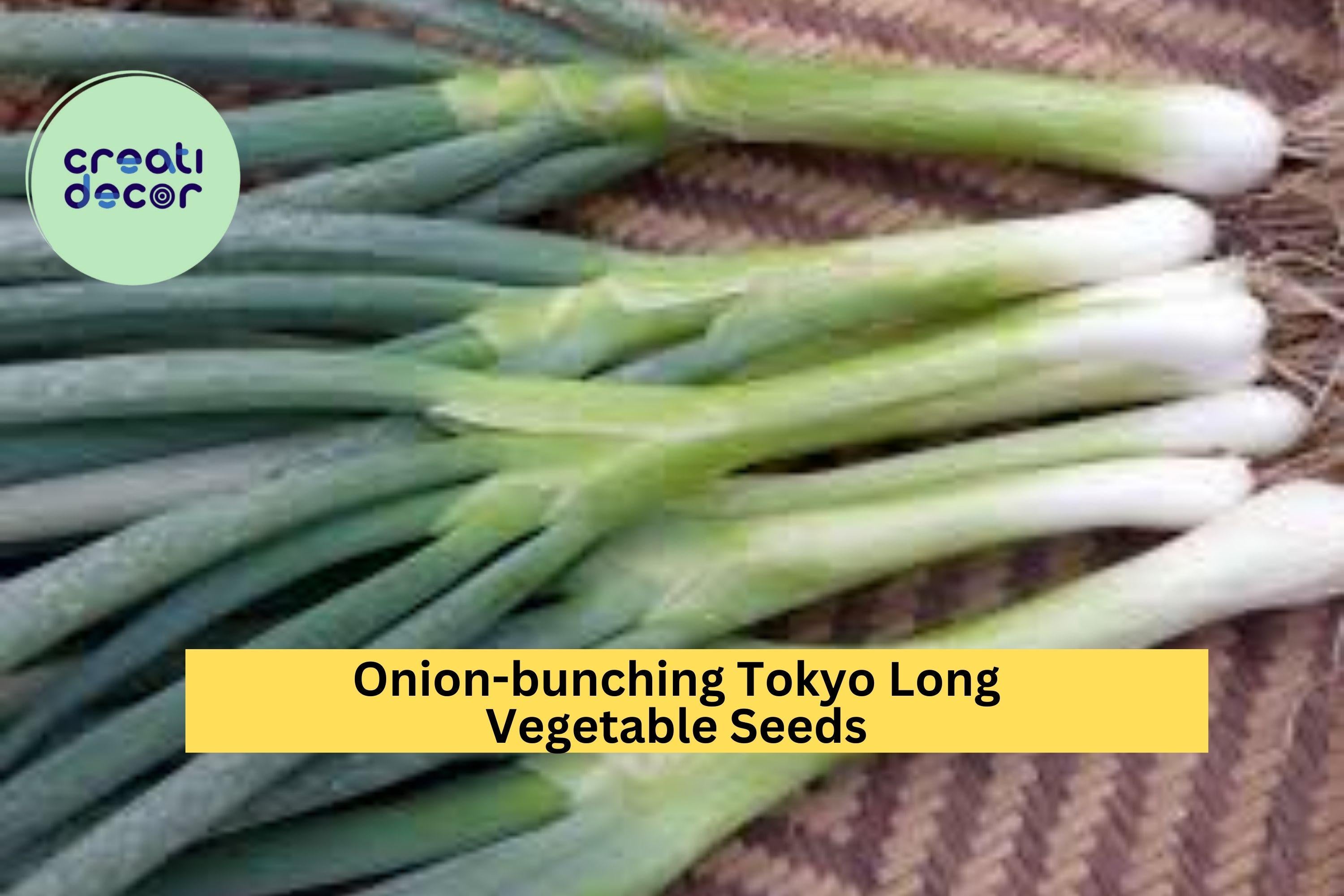 3pcs of 1g Tokyo Long Bunching Onion Seeds – Mild Scallion Variety for Stir-Fries, Soups & Container Gardening Seeds for Planting