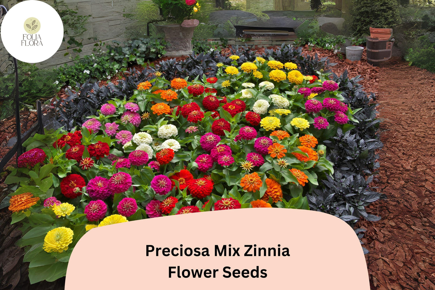 100+ Preciosa Mix Zinnia Seeds | Colorful Annual Garden Flowers | Easy Grow, Cut Flower Variety, Pollinator Friendly