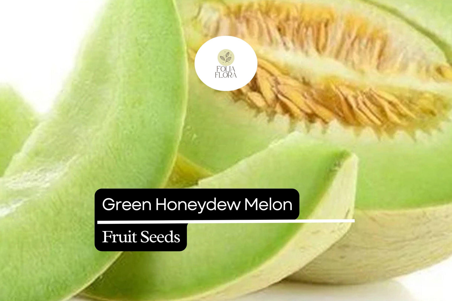 50 Seeds Green Honeydew Melon, Cucumis Melo, Sweet & Juicy Heirloom Variety