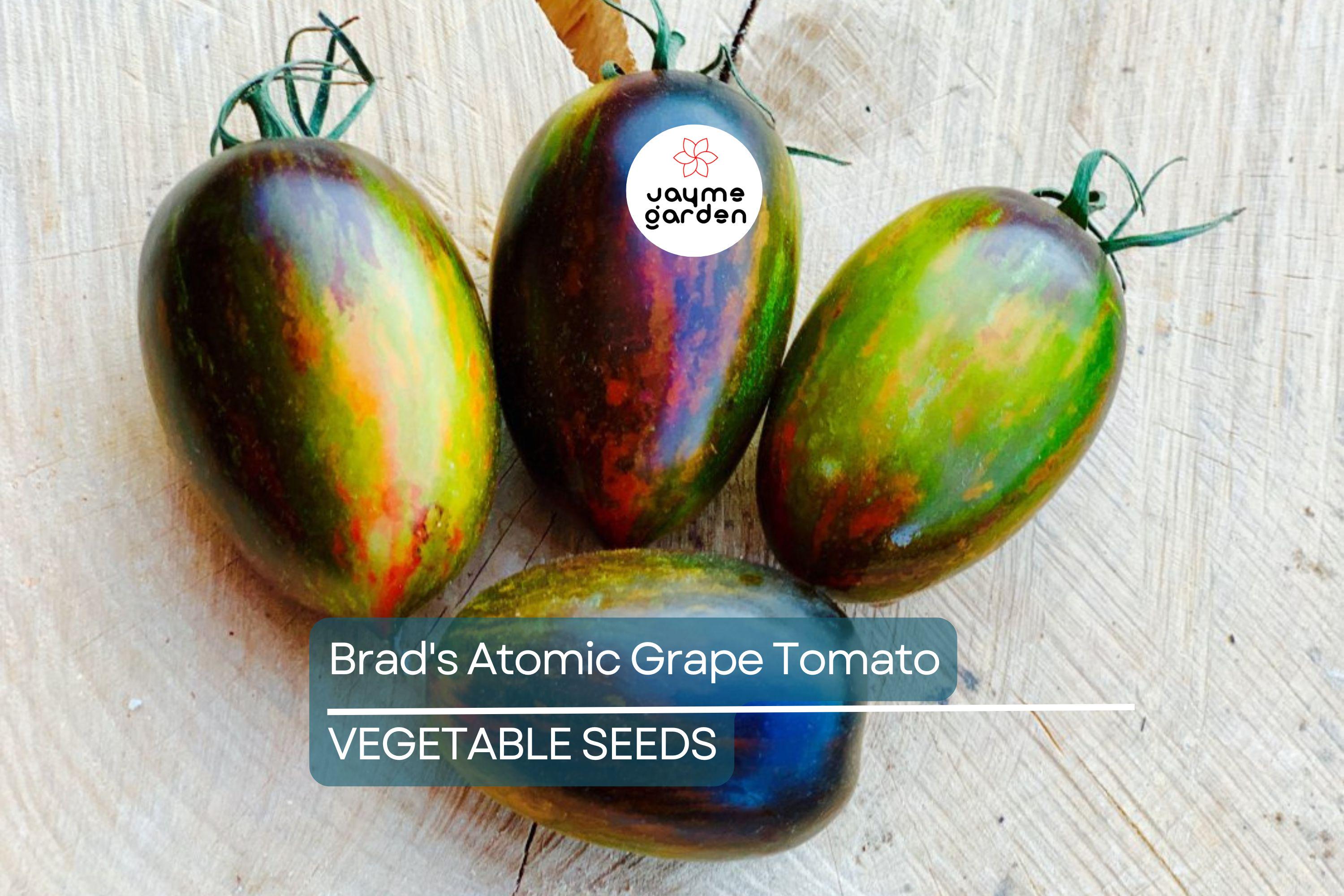 10 Seeds Brad's Atomic Grape Tomato - Rare Heirloom - Non-GMO - Colorful Stripes - Sweet Flavor - Unique Cherry Tomatoes