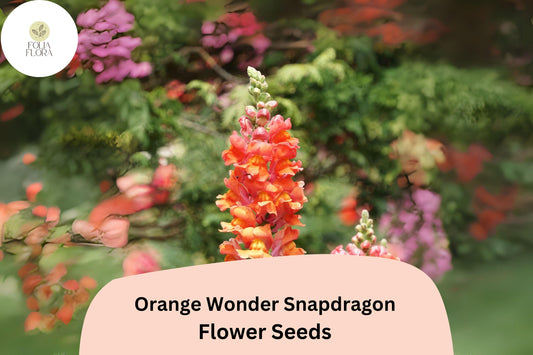 Antirrhinum majus Orange Wonder Snapdragon Seeds – 1000+ Vibrant Orange Blooms for Garden & Cut Flowers