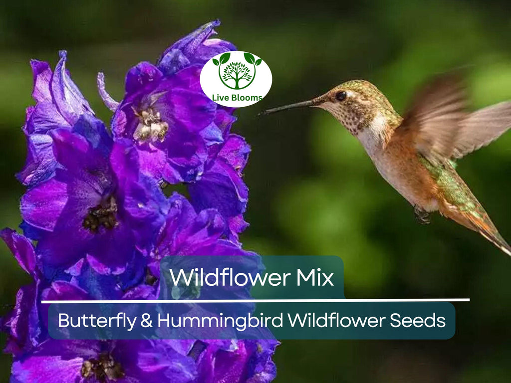 1000 Seeds Wildflower Mix Butterfly & Hummingbird - Heirloom, Non-GMO, Pollinator-Friendly, Attracts Bees, Butterflies, and Hummingbirds