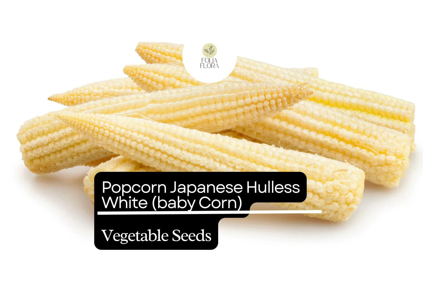 5g Popcorn Japanese Hulless White Seeds Zea mays | Tender Baby Corn & Gourmet Popcorn Variety