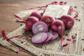 Onion – Red Burgundy (Short Day) 70 Seeds | Sweet Red Onion | Short-Day Variety | Excellent for Southern Gardens