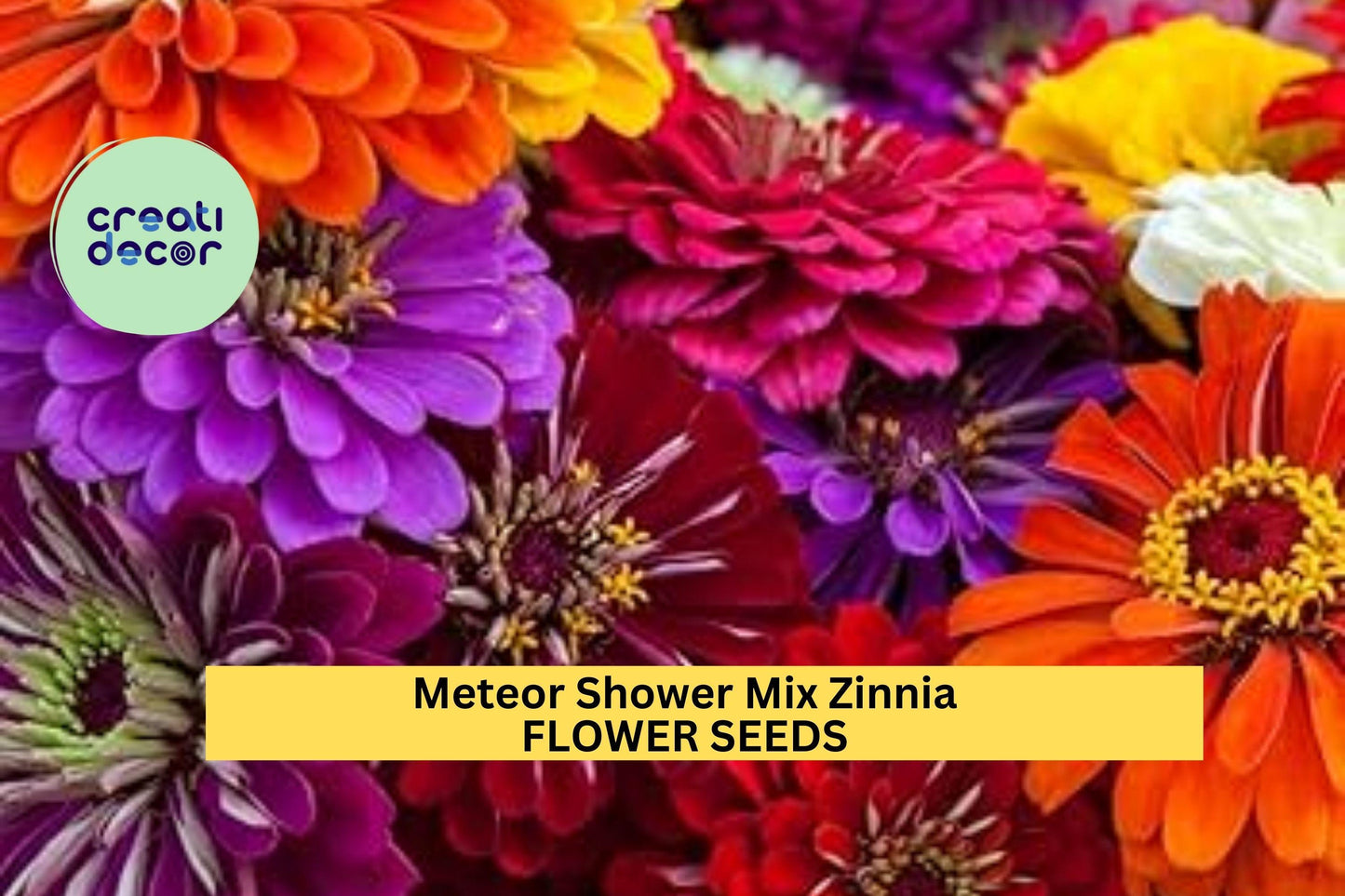 100+ Meteor Shower Zinnia Seeds – Bright Mixed Color Blooms for Garden Planting, Long-Lasting Annuals for Beds & Bouquets – USA