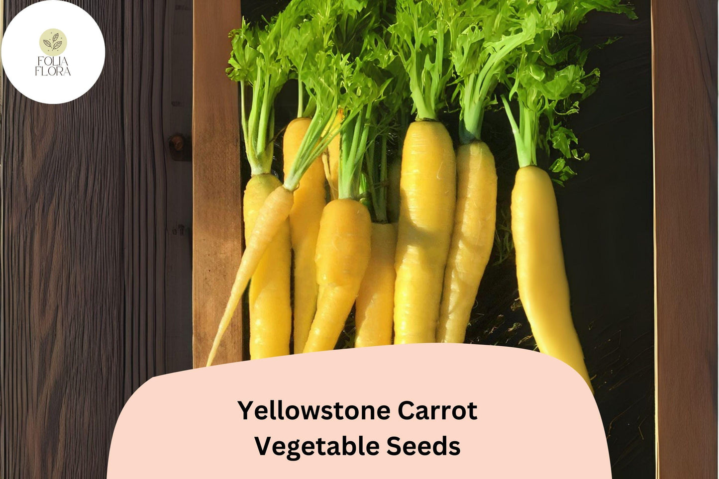 1000+ Yellowstone Carrot Seeds – Heirloom, Sweet & Tender Yellow Carrots