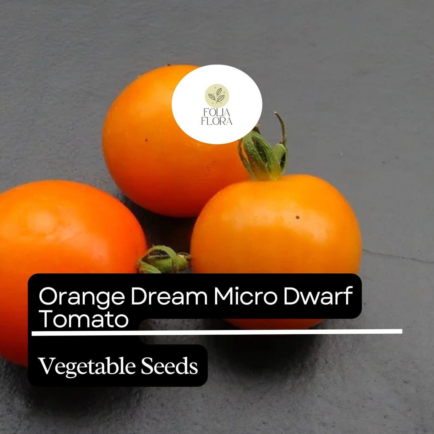 15 Orange Dream Micro Dwarf Tomato Seeds – Heirloom, Non-GMO, Compact & High-Yield