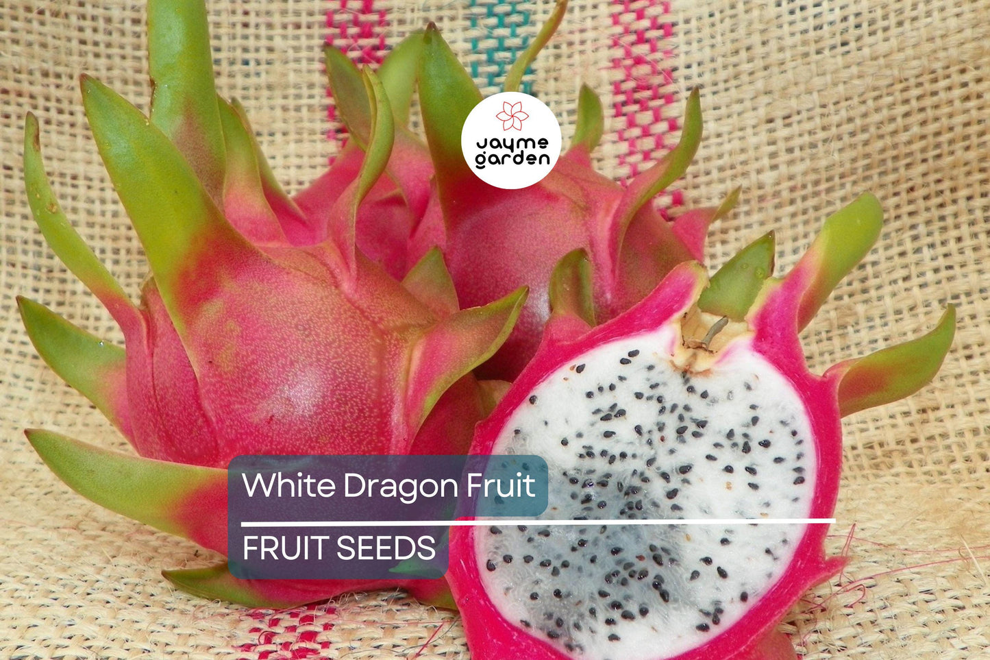 20 White Dragon Fruit Seeds (Hylocereus undatus) - Climbing Cactus Vine, 20ft Growth, Edible Exotic Fruit
