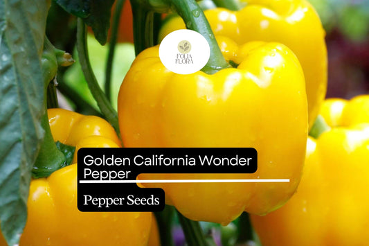 25 Golden California Wonder Pepper Seeds – Capsicum annuum – Heirloom, Sweet & Crisp, High-Yielding