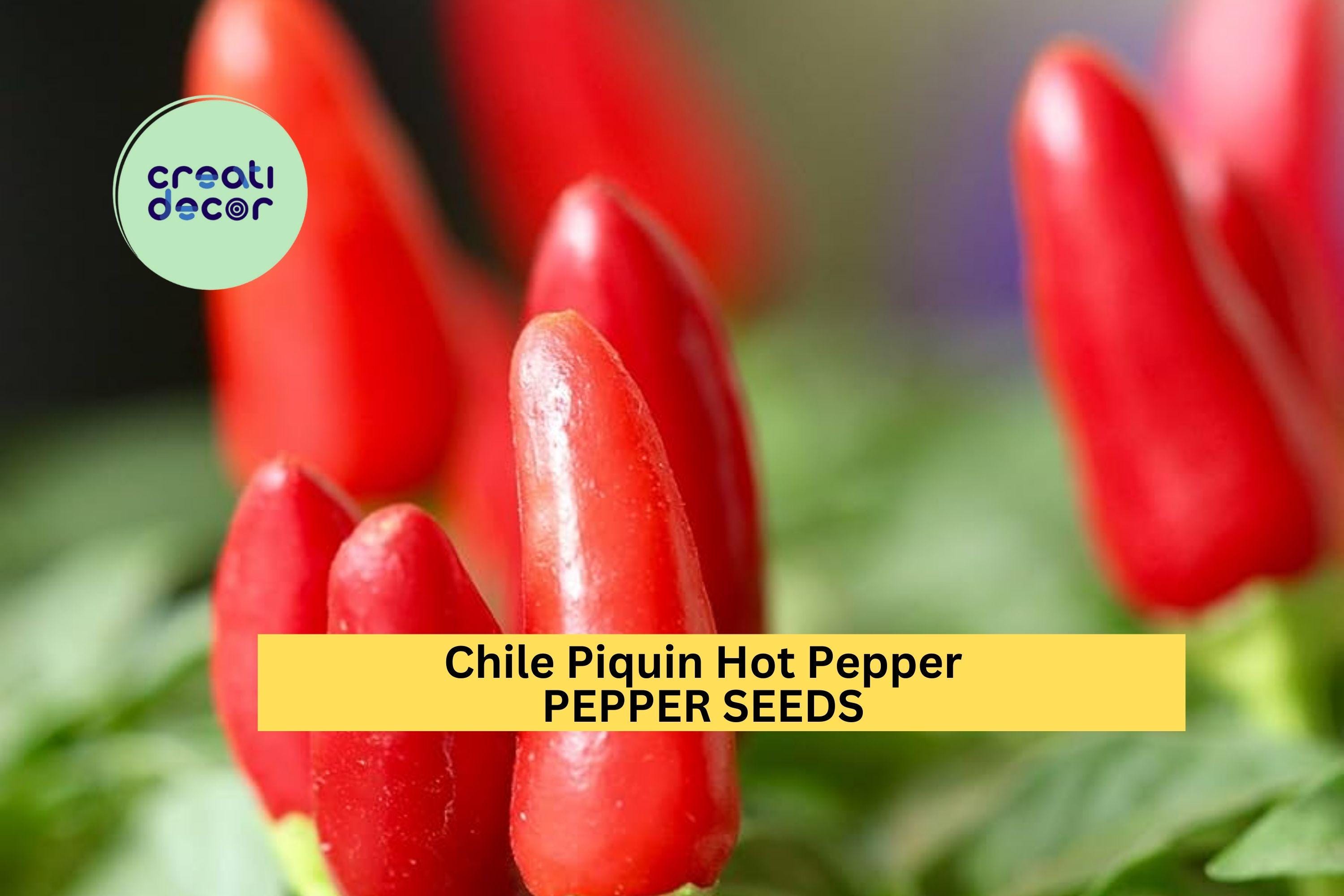 3pcs of 300mg Chile Piquin Hot Pepper Seeds – Tiny Spicy Chiles for Containers, Salsa, and Compact Garden Growing Seeds for Planting