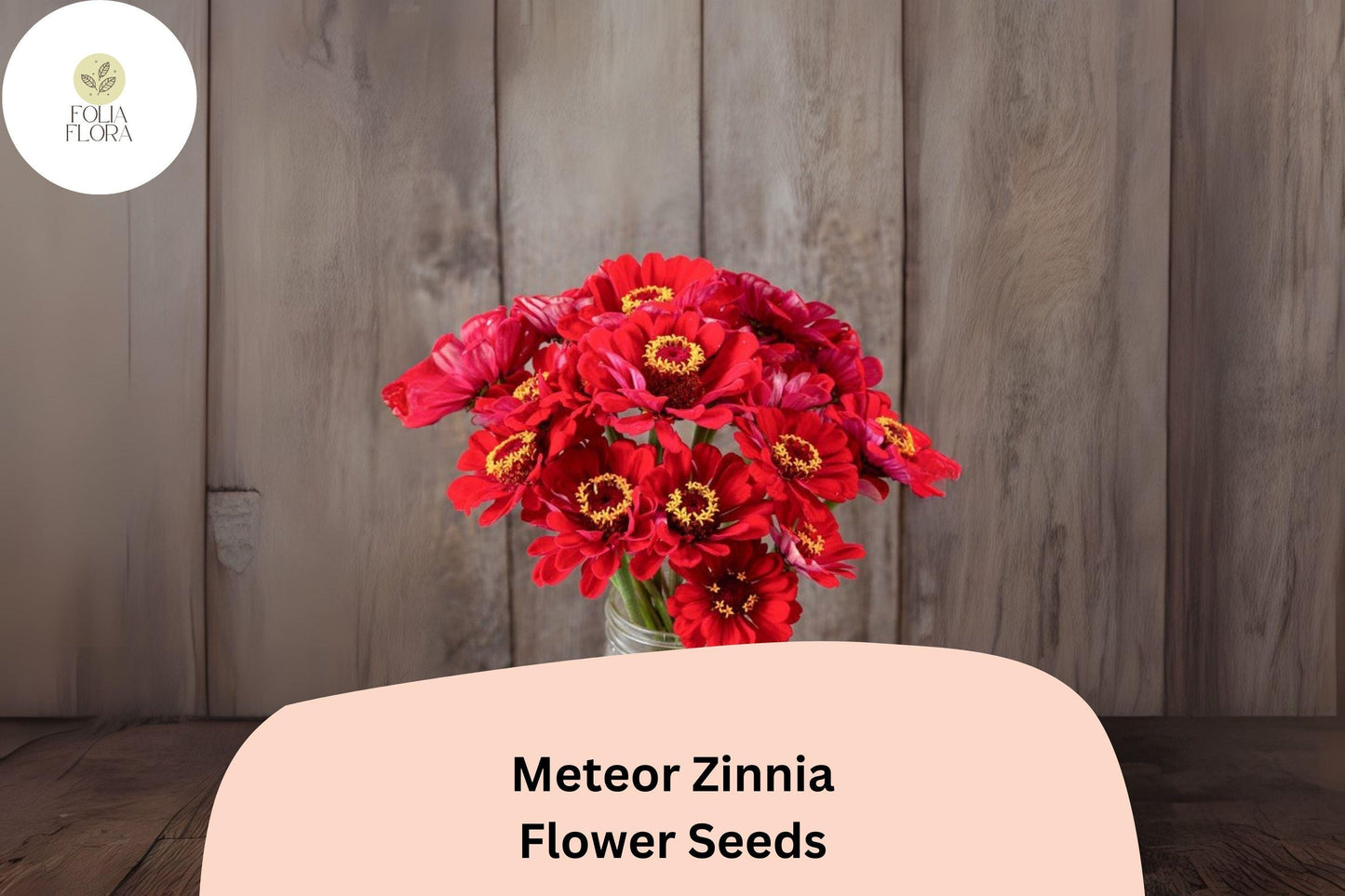 100+ Meteor Zinnia Seeds – Deep Red Blooms for Garden Planting, Borders & Cut Flowers