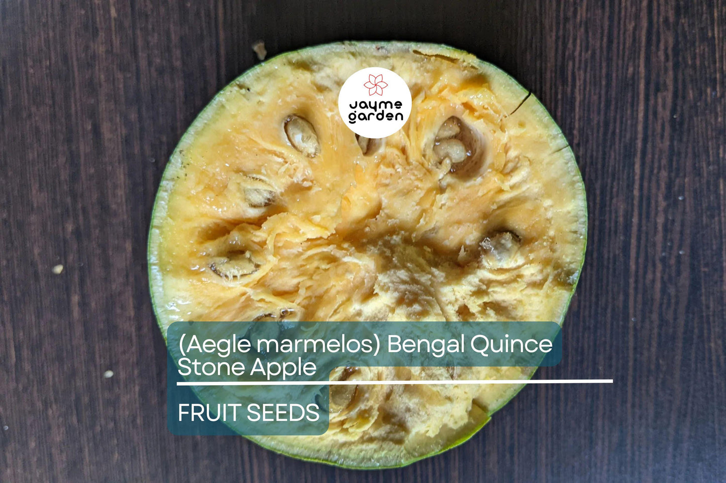 10 Bael Fruit Tree (Aegle marmelos) Seeds – Bengal Quince, Sacred Stone Apple, Rare!