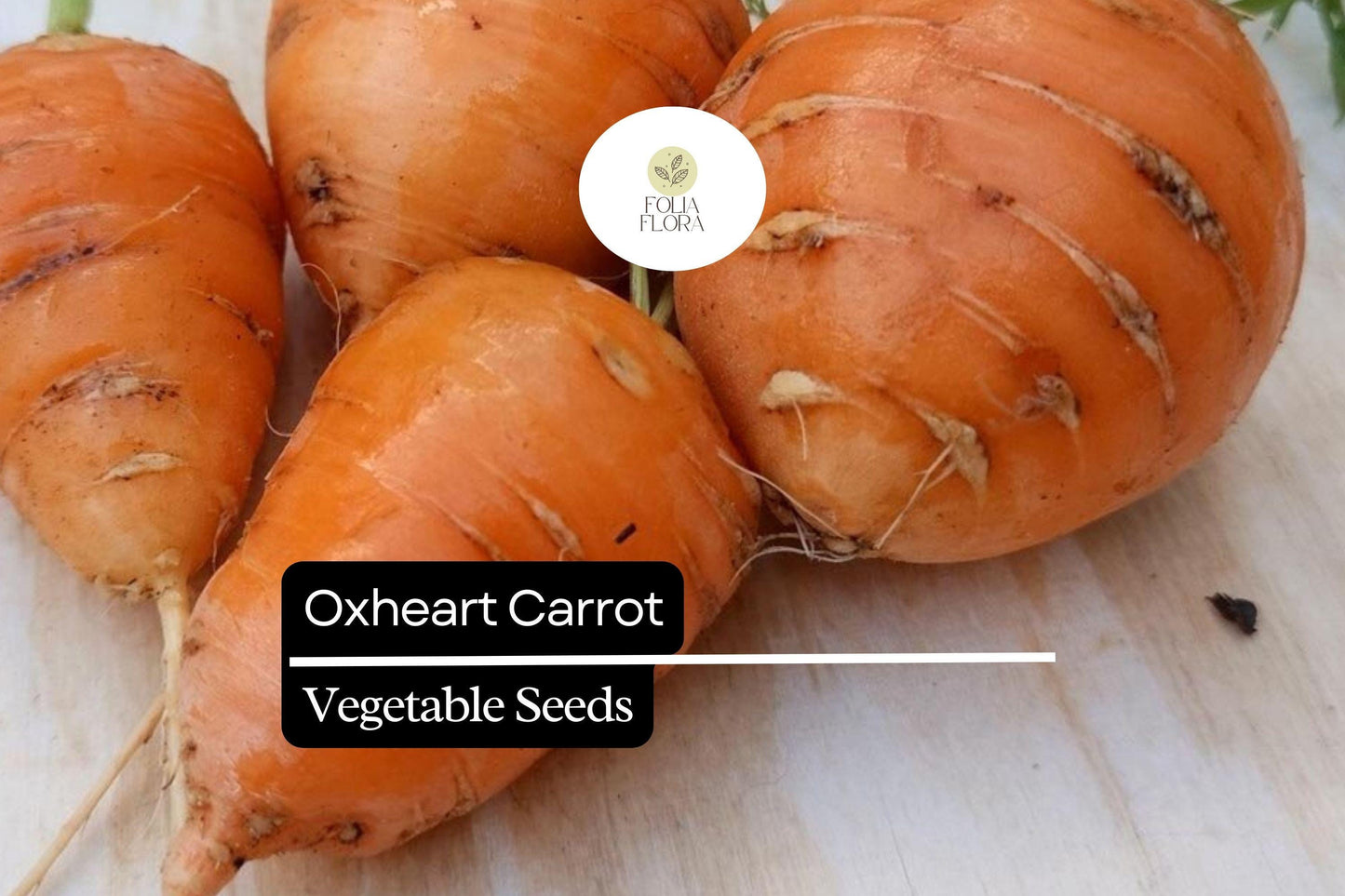 1000+ Oxheart Carrot Seeds – Heirloom, Short & Thick, Sweet and Tender