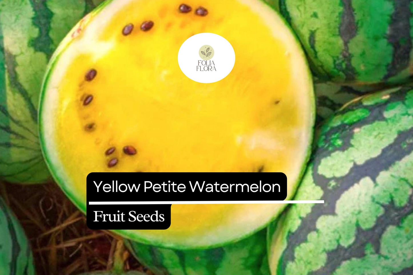 5 Seeds Yellow Petite Watermelon (Citrullus lanatus) – Sweet, Small, Yellow-Fleshed Watermelon Variety