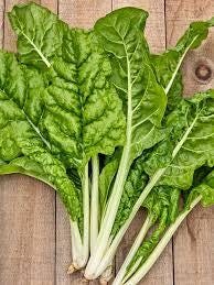 Set of 16 Vegetable & Herb Seeds – Garden Starter Pack with Basil, Arugula, Kale, Broccoli, Cilantro, Okra, Spinach and More – USA