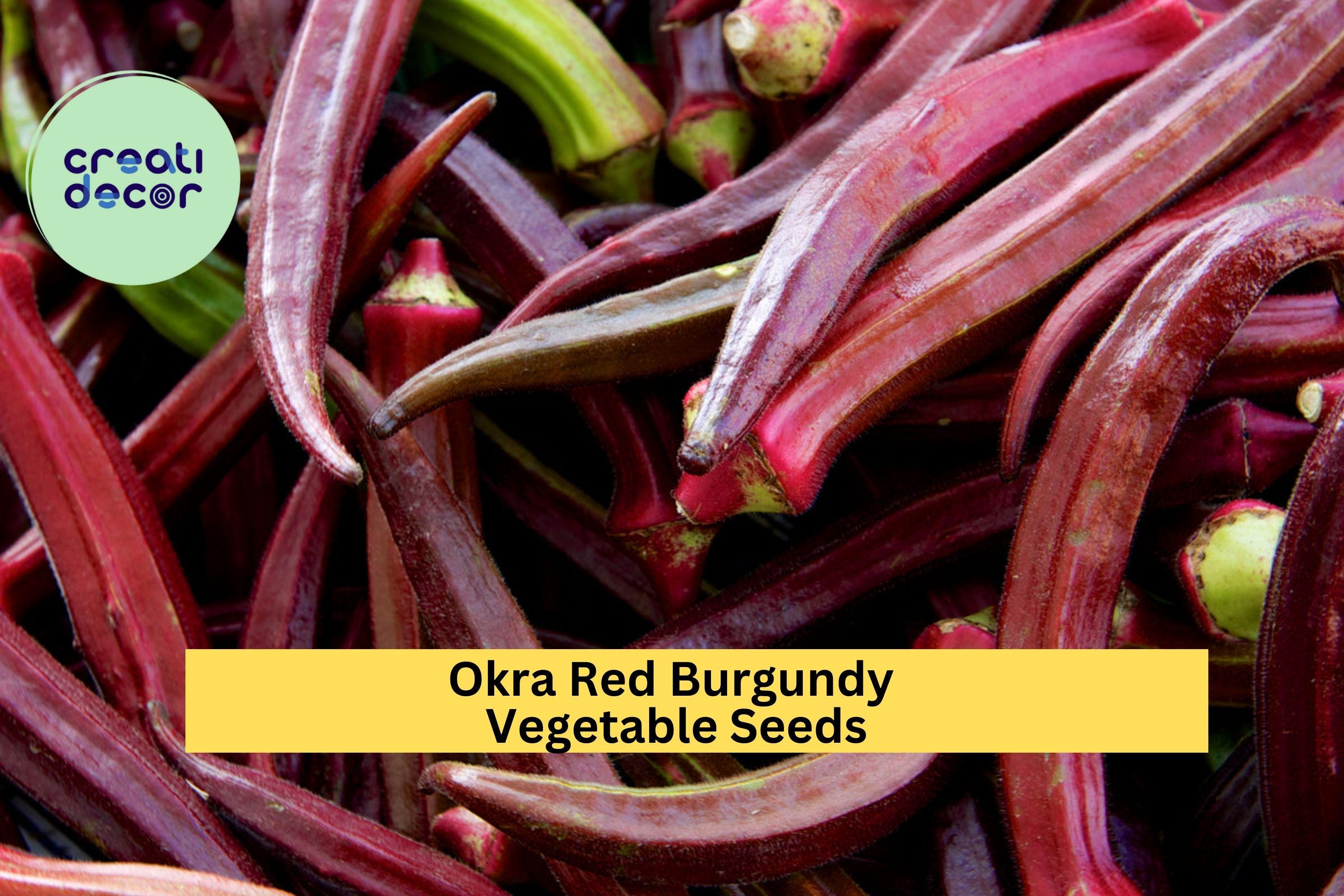 3pcs of 1g Red Burgundy Okra Seeds – Colorful Heirloom Variety for Garden Beds, Containers & Southern-Style Cooking