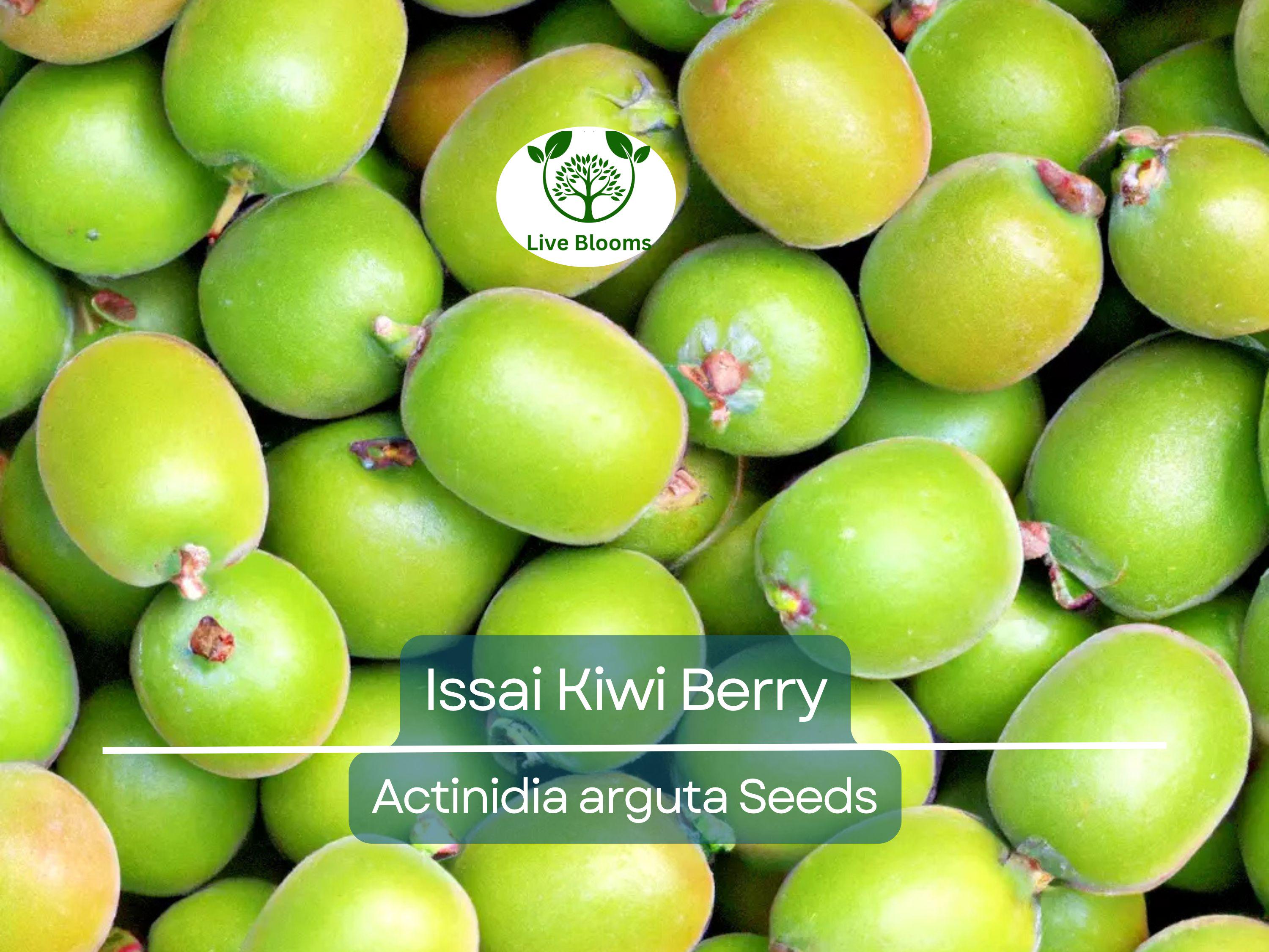30 Issai Kiwi Berry Seeds | Arctic Grape, Kiwiberry | Fast-Growing Edible Fruit Vine | Hardy Kiwi | Actinidia arguta | Rare Fruit Seeds