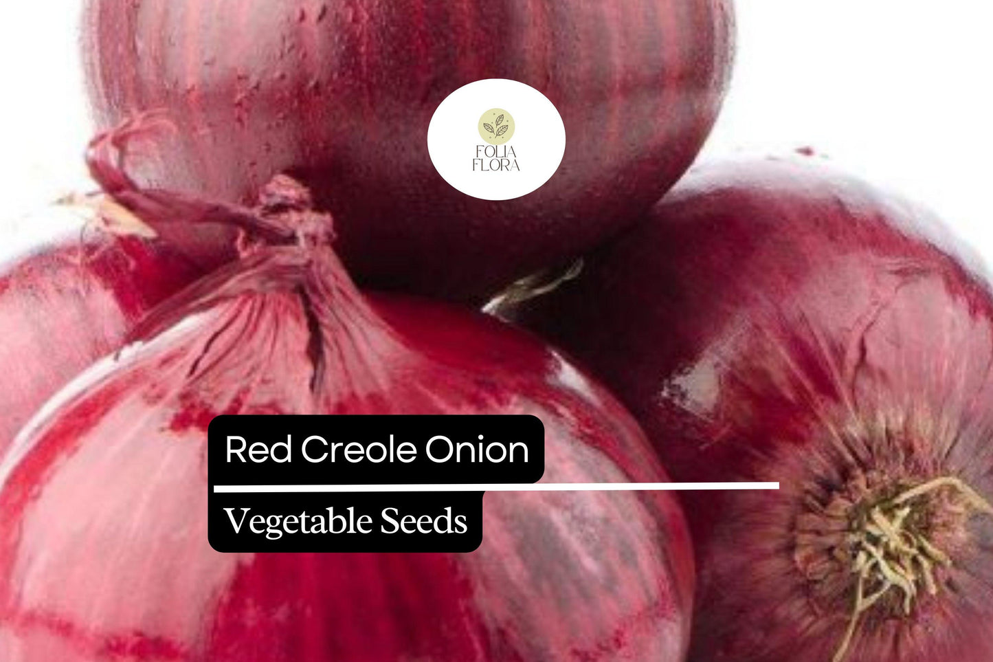 200 Seeds Red Creole Onion, Allium Cepa, Flavorful Heirloom for Cooking and Storing