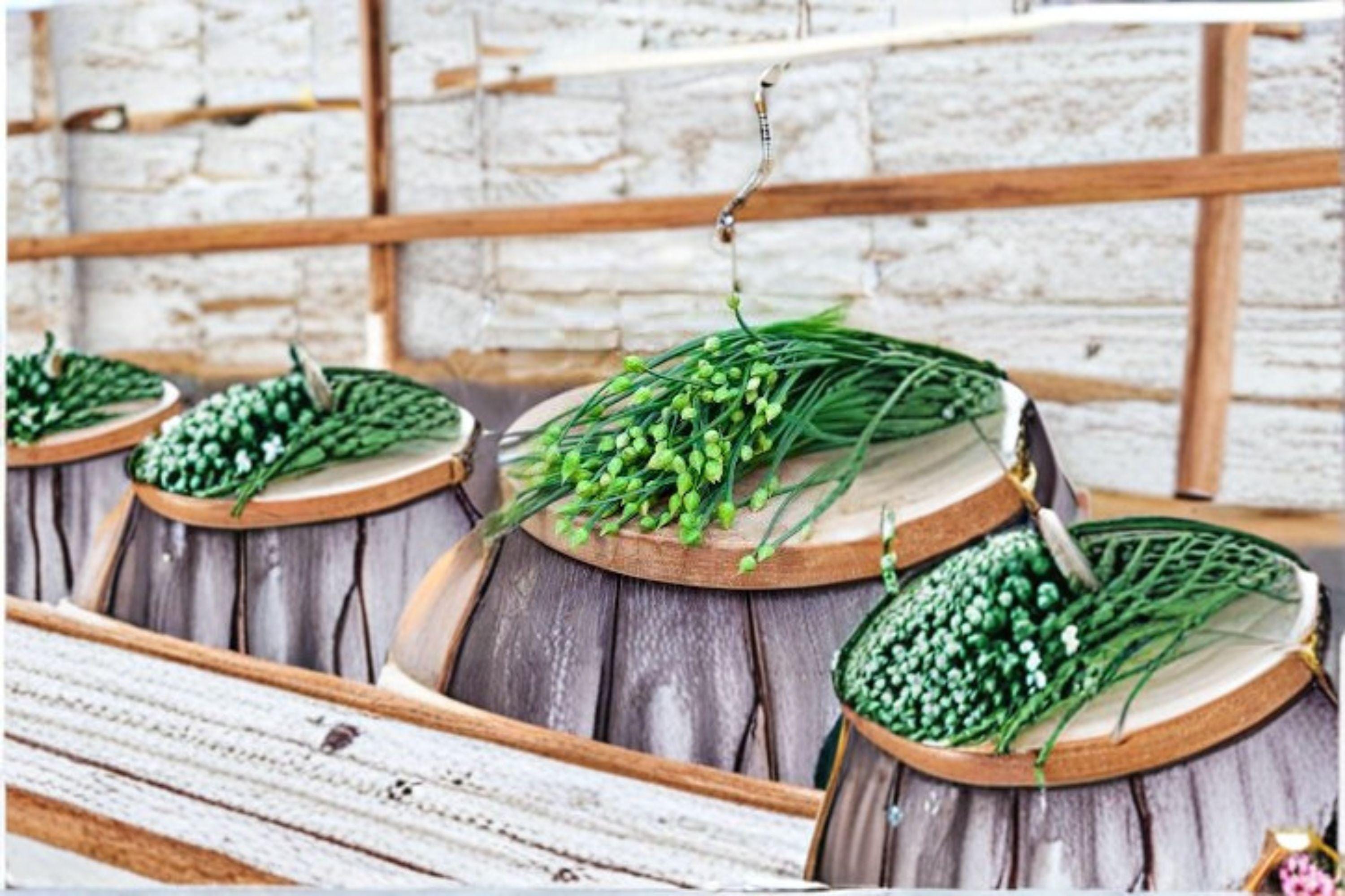 Flowering Chinese Leek 100 Seeds | Garlic Chive Type | Edible Flowers | Asian Culinary & Pollinator Plant