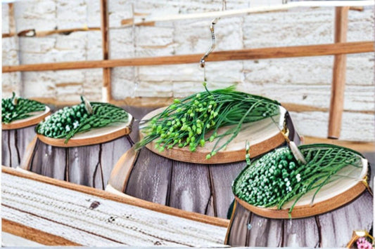 Flowering Chinese Leek 100 Seeds | Garlic Chive Type | Edible Flowers | Asian Culinary & Pollinator Plant