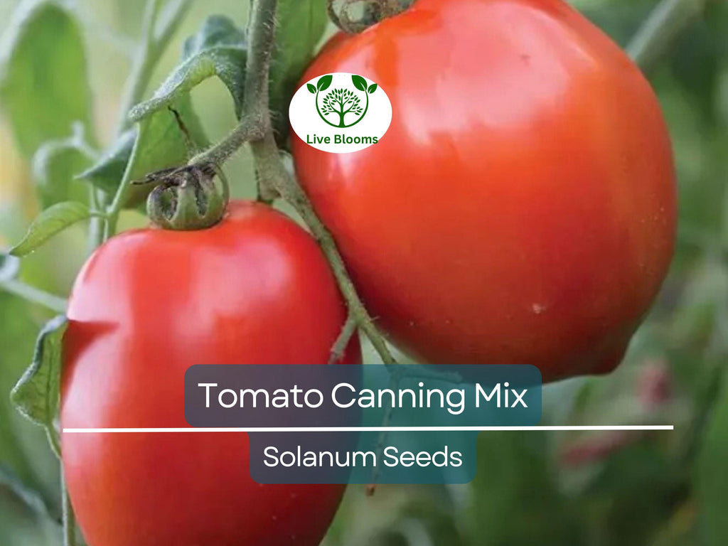 100 Tomato Seeds Mix - Heirloom Canning, Sauce & Paste Varieties | Indeterminate, Non-GMO, Lycopersicon esculentum, Garden Favorite