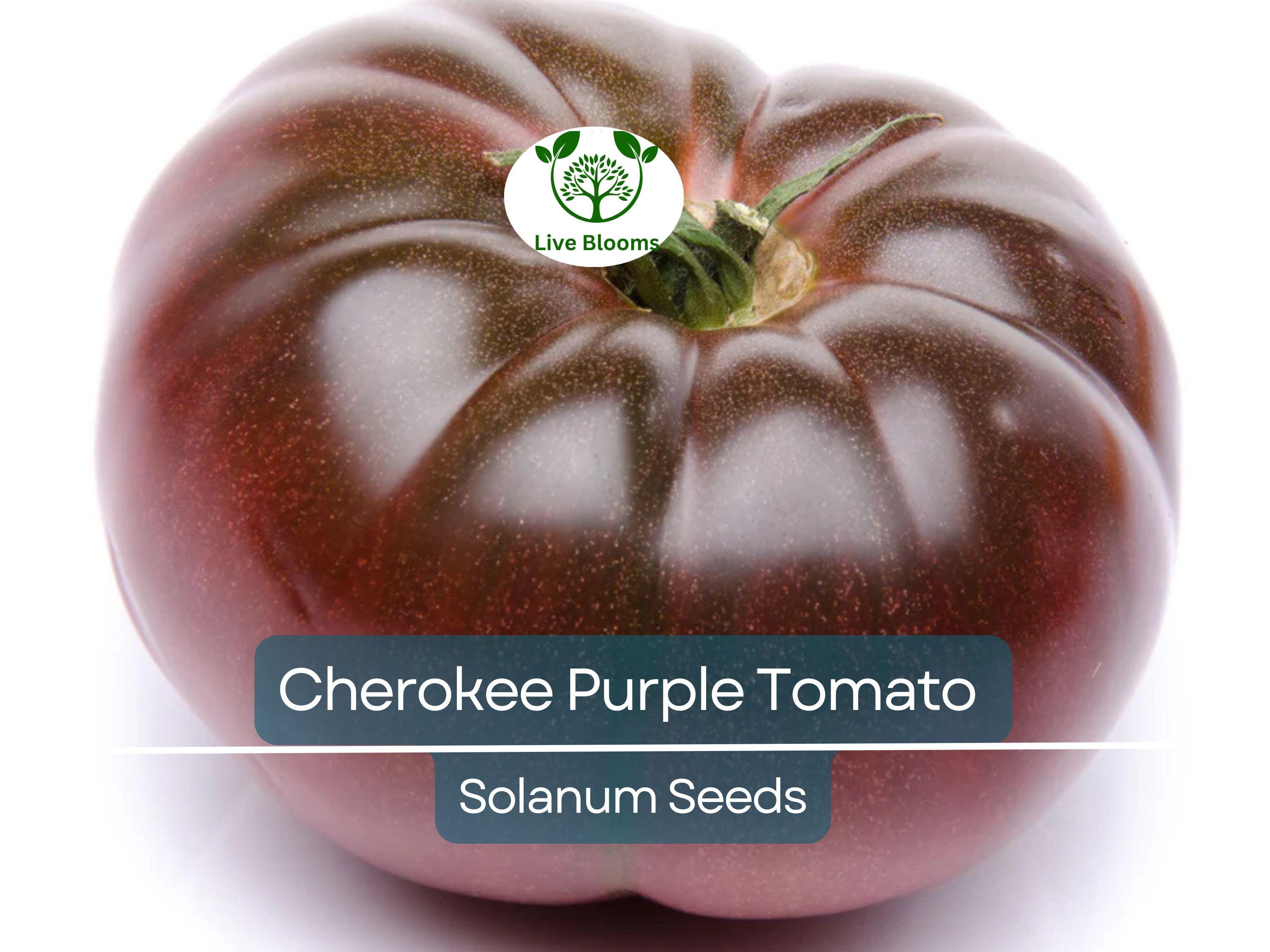 60 Cherokee Purple Tomato Seeds – Heirloom Beefsteak, Solanum lycopersicum, Non-GMO, Indeterminate, Rich Flavor, Garden Favorite