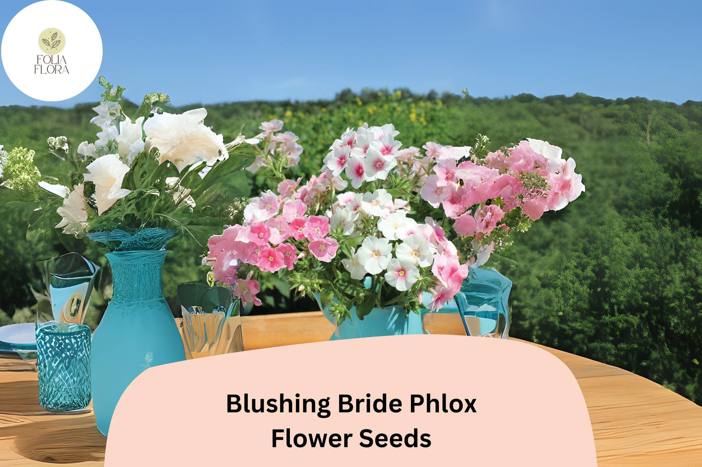 100+ Blushing Bride Phlox Seeds – Phlox paniculata, Soft Pink Perennial Garden Flowers