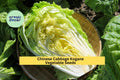 3pcs x 500mg Chinese Cabbage Kogane Seeds – Crisp Asian Greens for Garden Beds, Raised Rows, or Container Growing Seeds for Planting