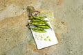 Fava Bean 10 Seeds | Cool-Season Vegetable | High Protein | Easy to Grow Heirloom