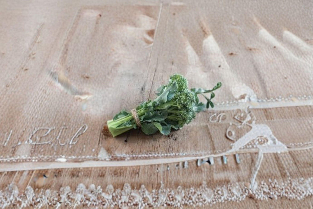 Broccoli – Di Cicco 300 Seeds | Italian Heirloom | Cut-and-Come-Again | Early & Cold Tolerant
