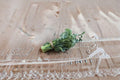 Broccoli – Di Cicco 300 Seeds | Italian Heirloom | Cut-and-Come-Again | Early & Cold Tolerant