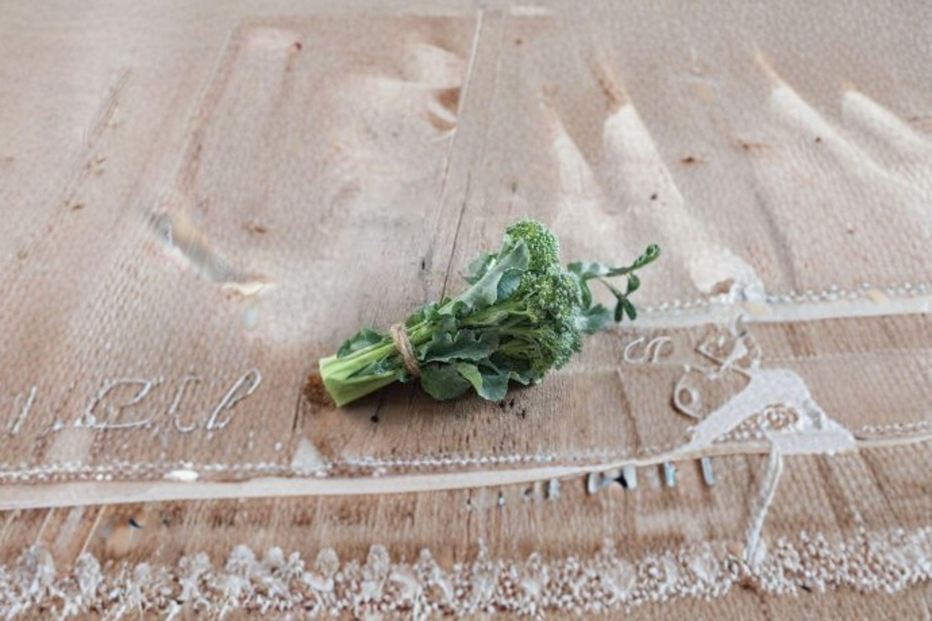 Broccoli – Di Cicco 300 Seeds | Italian Heirloom | Cut-and-Come-Again | Early & Cold Tolerant