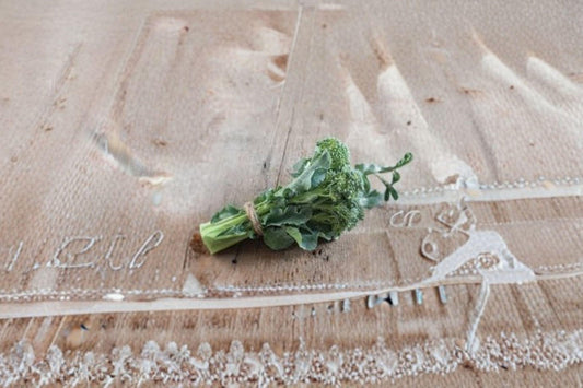 Broccoli – Di Cicco 300 Seeds | Italian Heirloom | Cut-and-Come-Again | Early & Cold Tolerant