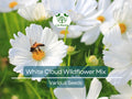 1000 Seeds White Cloud 9 Wildflower Mix – Heirloom Non-GMO White Bloom Blend for Moon Gardens, Memorial Plantings, Pollinators