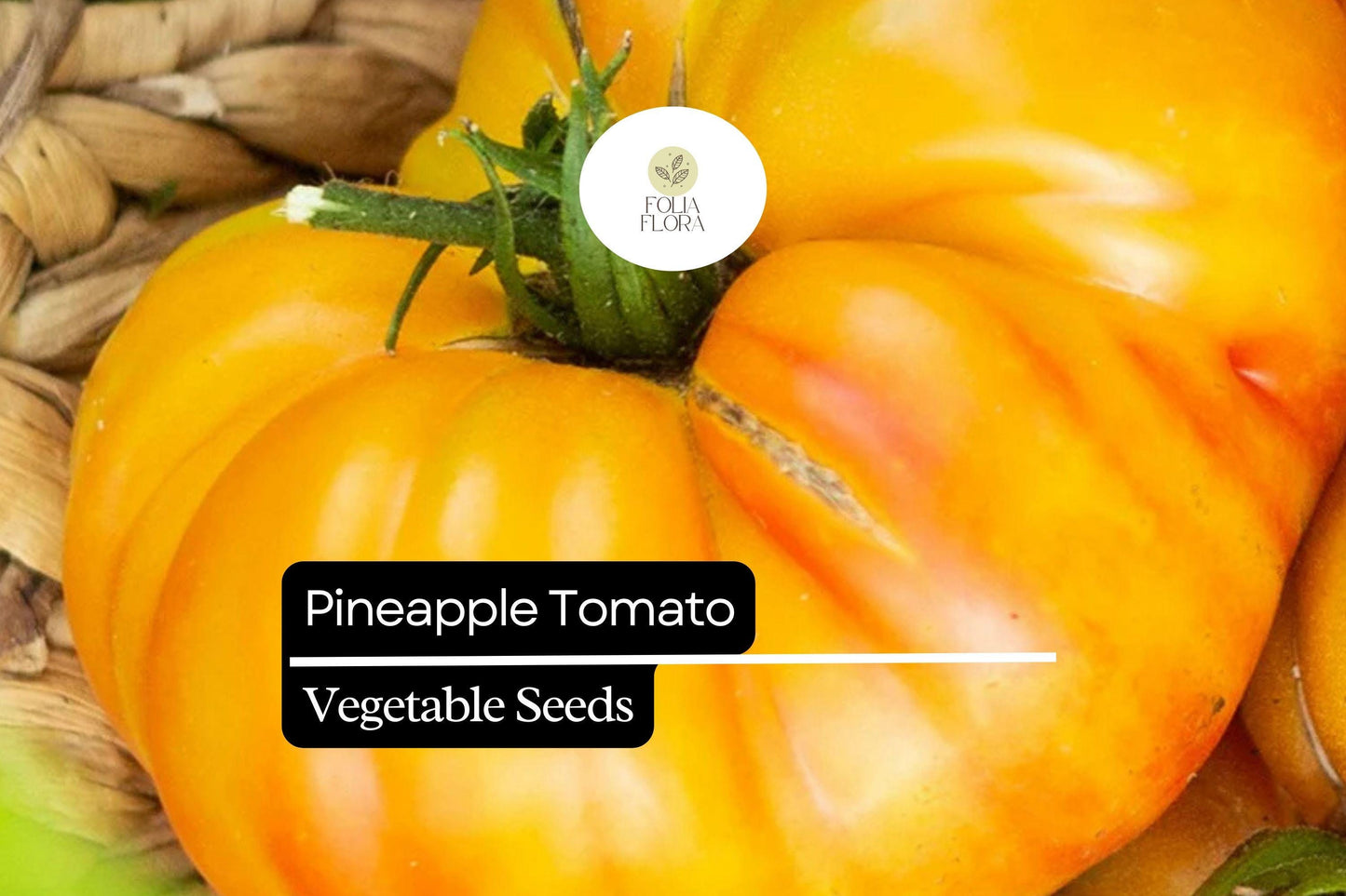 30 Pineapple Tomato Seeds | Solanum lycopersicum | Heirloom Bicolor Beefsteak | Sweet & Juicy