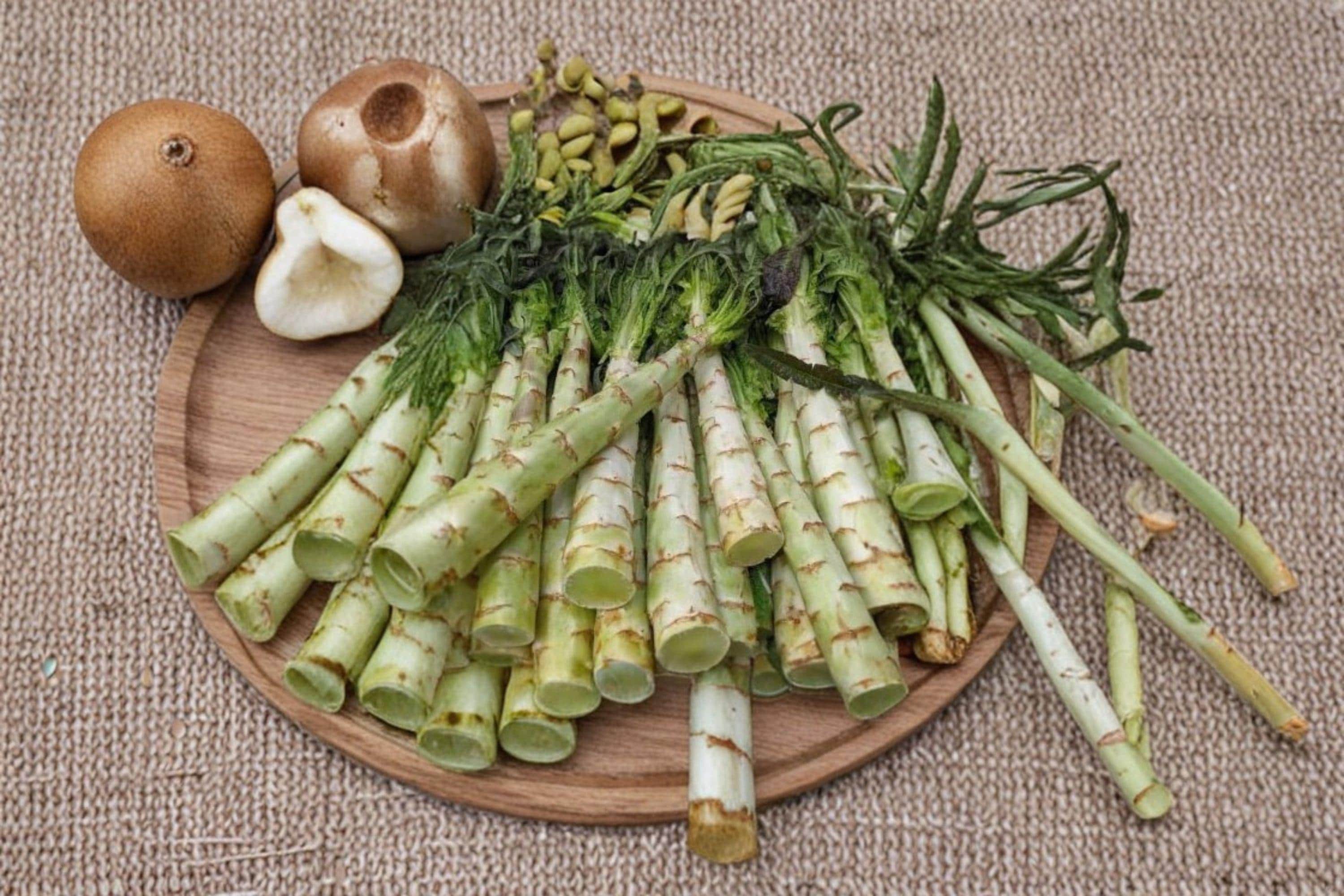 Celtuce / Asparagus Lettuce – Pointed Taiwan Sword Leaf | 200 Seeds | Unique Asian Vegetable Garden Seed