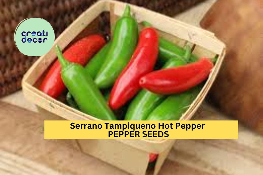 3pcs of 250mg Serrano Tampiqueno Hot Pepper Seeds – Spicy, Productive Variety for Salsa & Cooking – Heirloom Garden Seeds for Planting