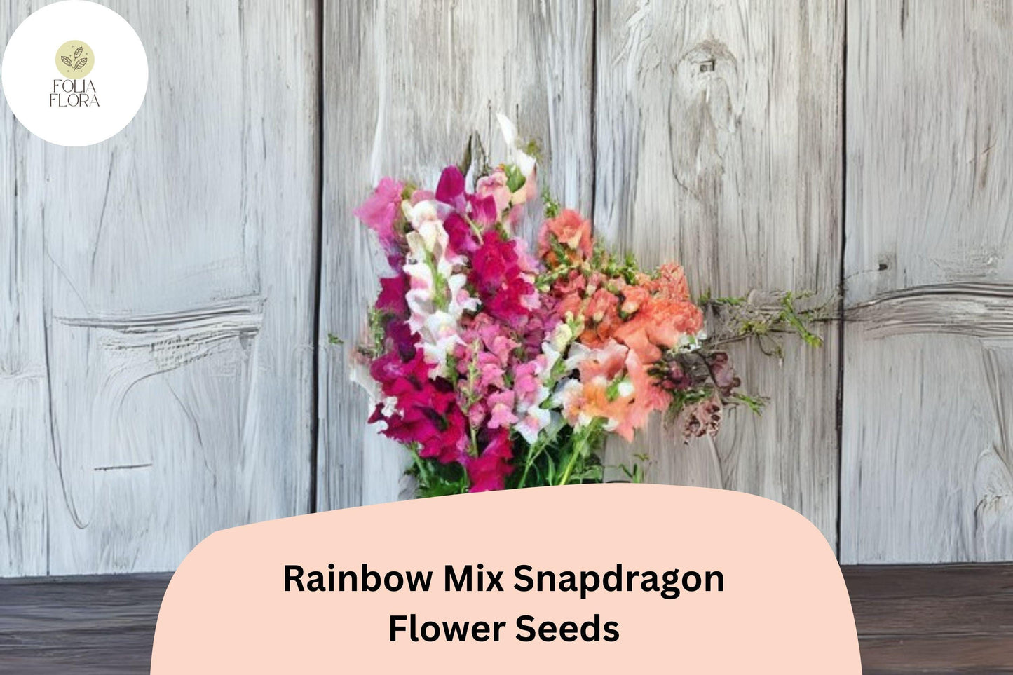 Antirrhinum majus Rainbow Mix Snapdragon Seeds – 1000+ Multicolor Blooms for Vibrant Garden & Cut Flowers
