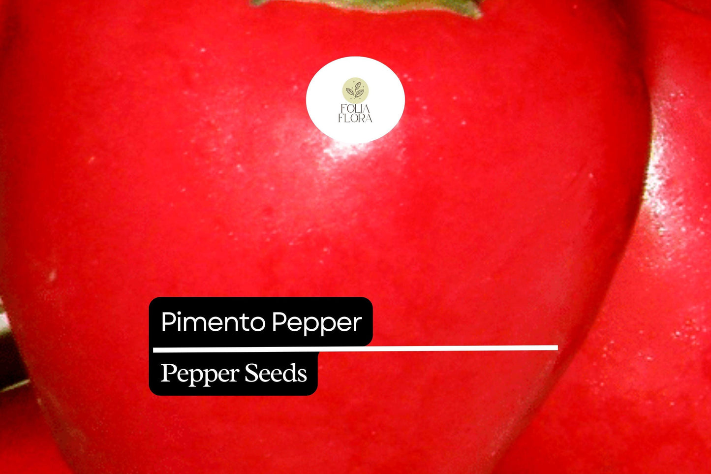 25 Seeds Pimento Pepper (Capsicum annuum) – Sweet and Mild Heirloom Variety for Fresh Eating and Preserving