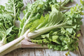 Chinese Cabbage – Kogane 150 Seeds | Asian Napa-Type Cabbage | Sweet & Crisp | Compact Early Variety