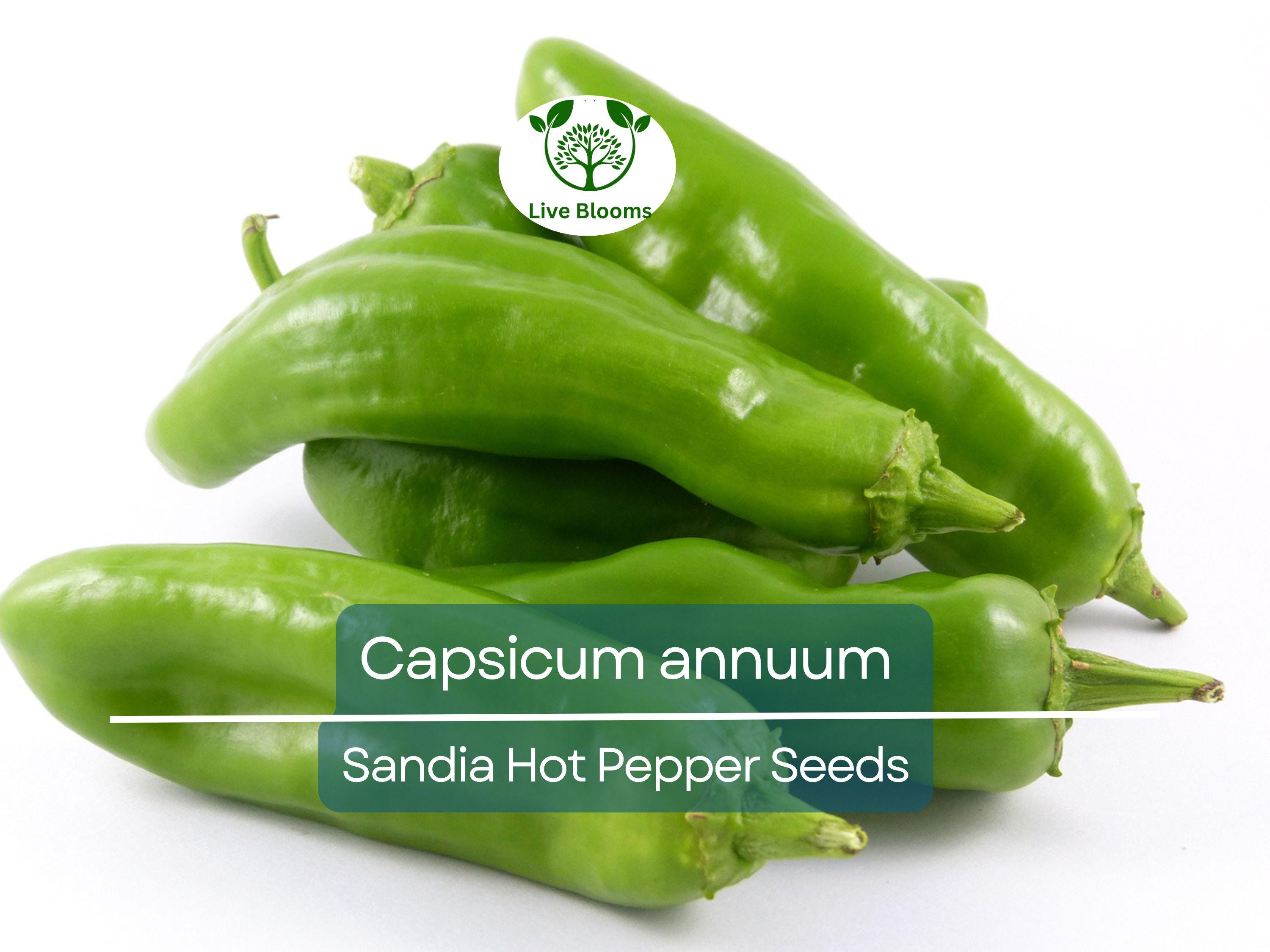 250 mg Sandia Hot Pepper Seeds - Capsicum annuum | New Mexican Heirloom for Planting, Spicy Chili Pepper for Salsas, Cooking, & Home Gardens