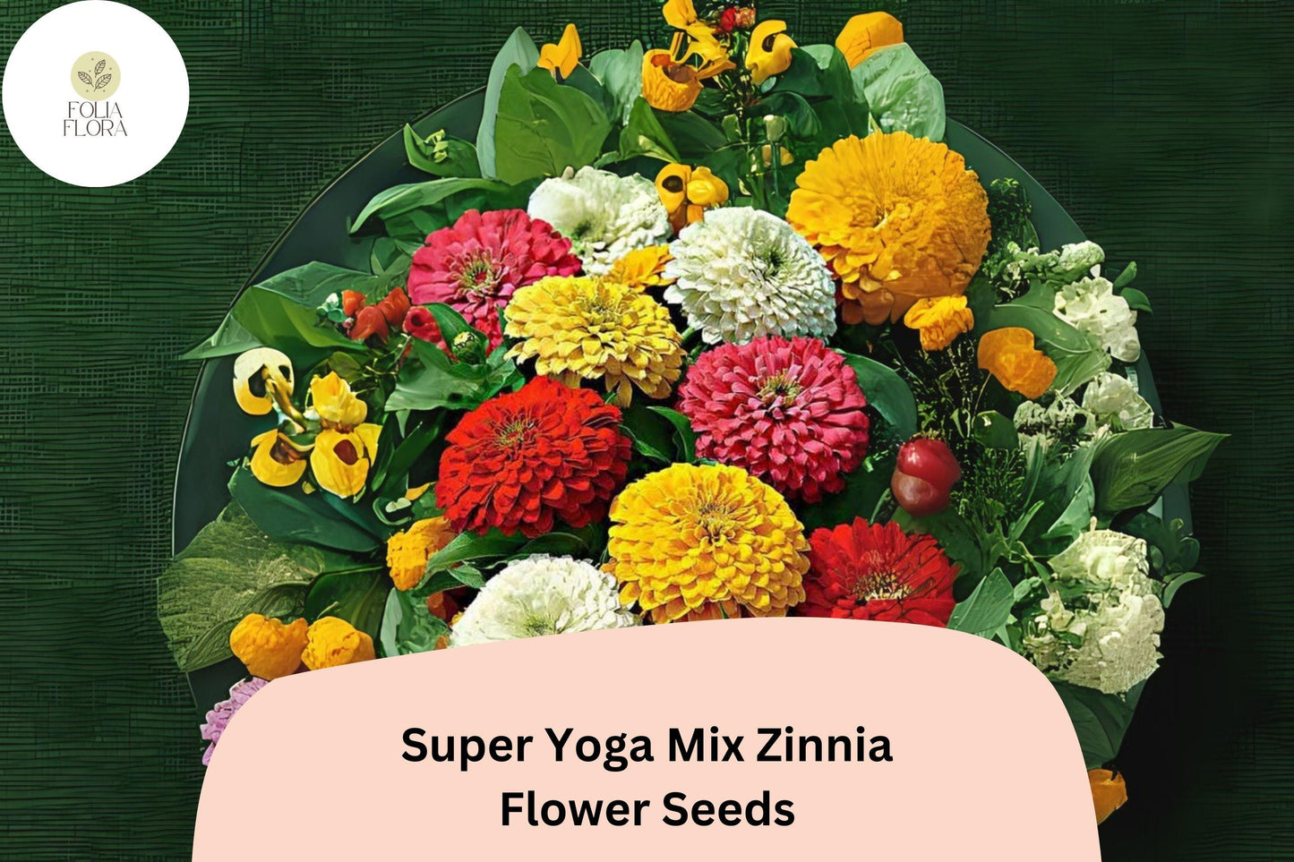 100+ Super Yoga Mix Zinnia Seeds – Colorful Tall Annual Flowers for Garden Planting, Borders & Cut Flower Bouquets