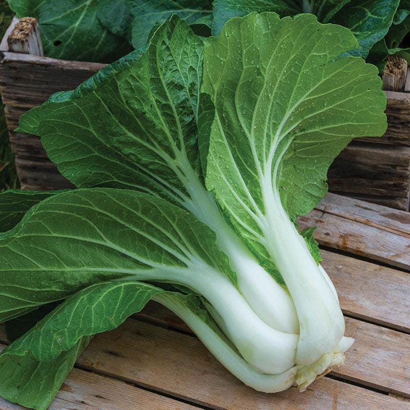 Set of 16 Vegetable & Herb Seeds – Garden Starter Pack with Basil, Arugula, Kale, Broccoli, Cilantro, Okra, Spinach and More – USA