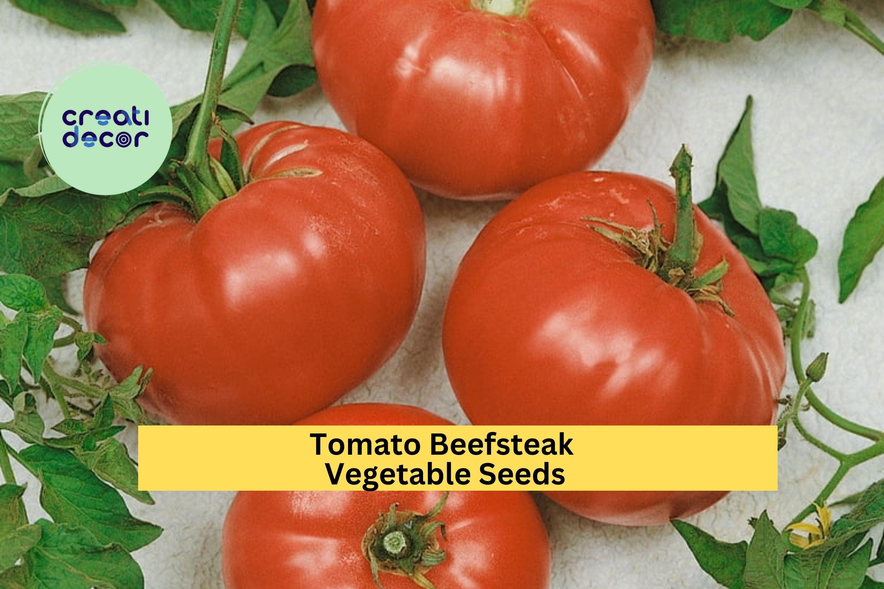 3pcs of 300mg Beefsteak Tomato Seeds – Juicy Giant Slicer Variety for Burgers, Sandwiches & Summer Vegetable Gardens Seeds for Planting
