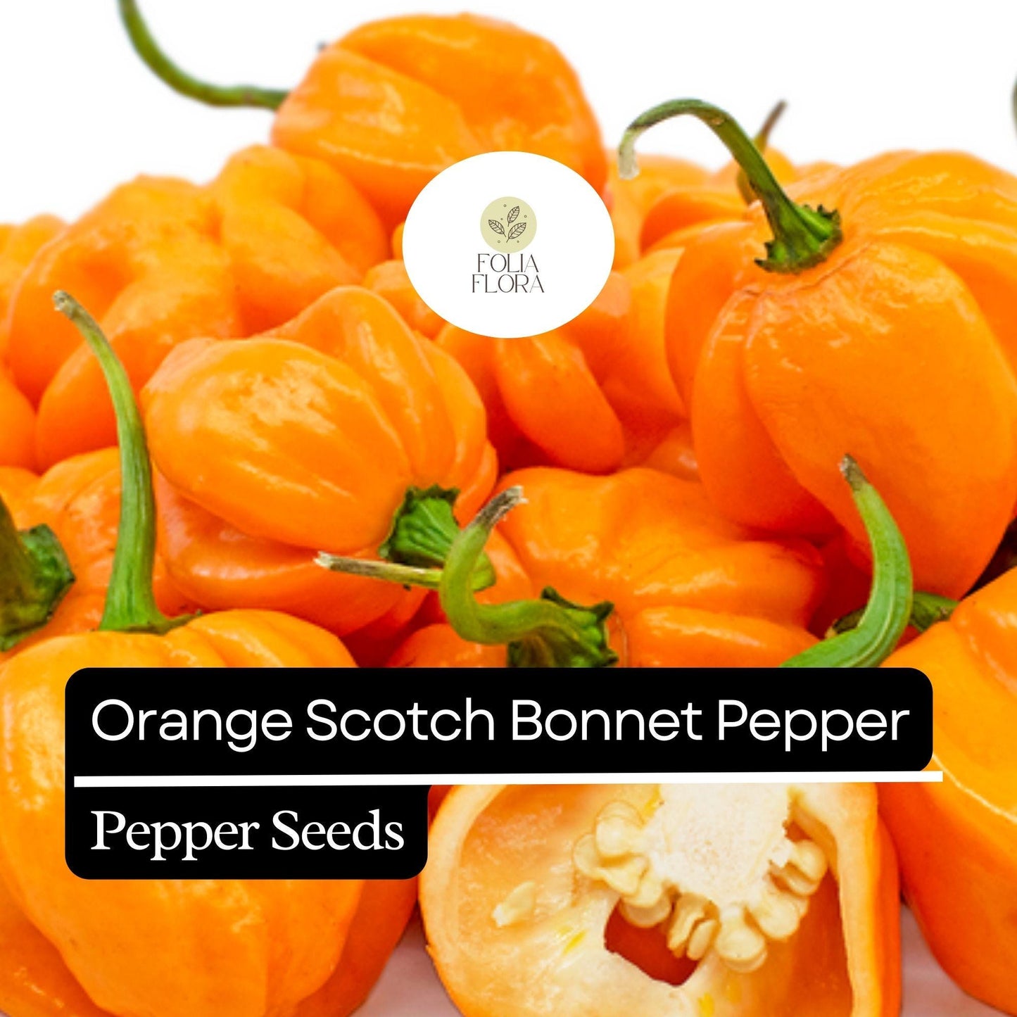 20 Orange Scotch Bonnet Pepper Seeds – Heirloom, Hot & Spicy – Non-GMO, Fresh Seeds