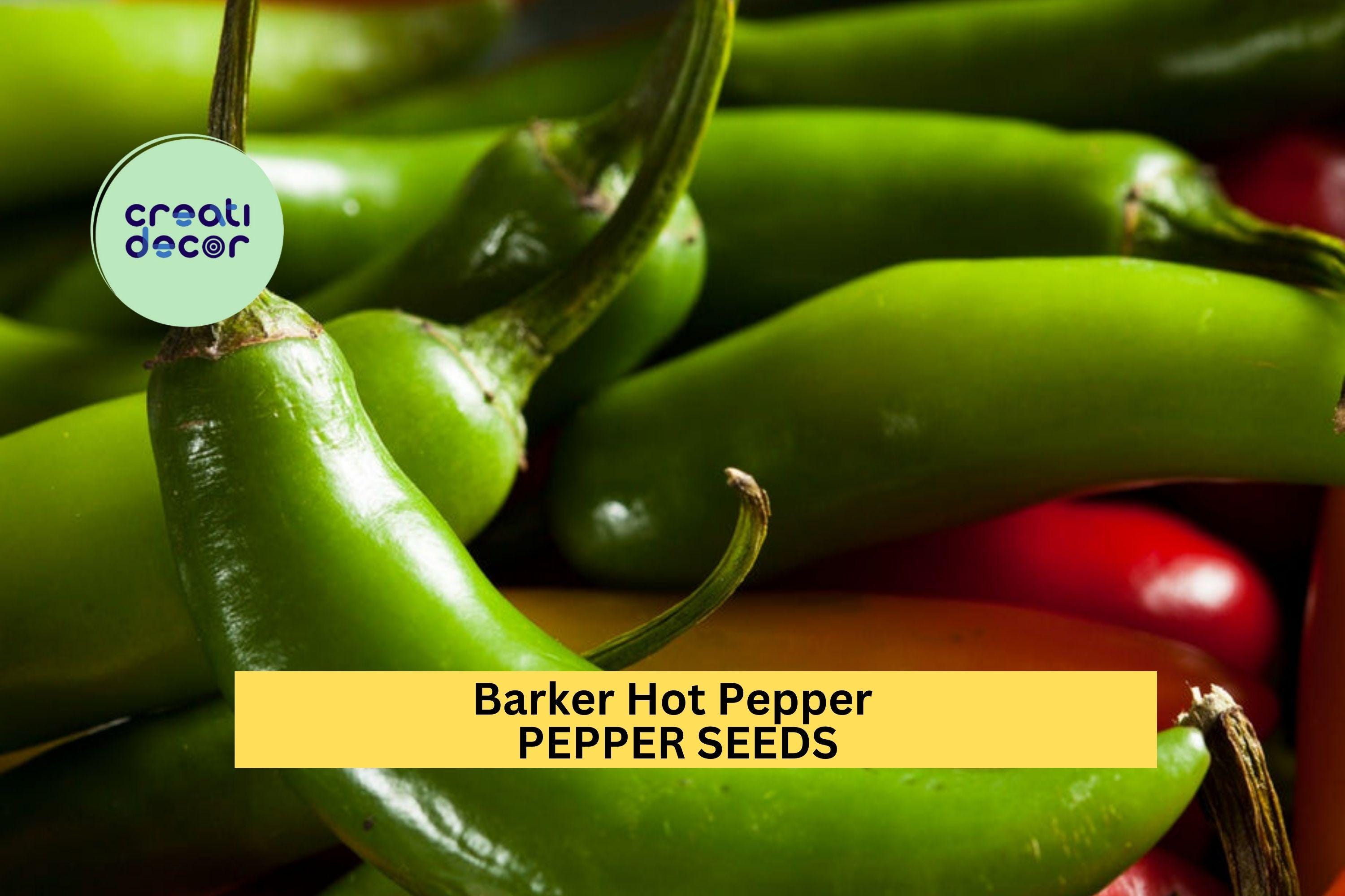 3pcs of 250mg Barker Hot Pepper Seeds – Fiery New Mexico Chile for Salsas, Drying, Roasting, and Spicy Garden Harvests Seeds for Planting