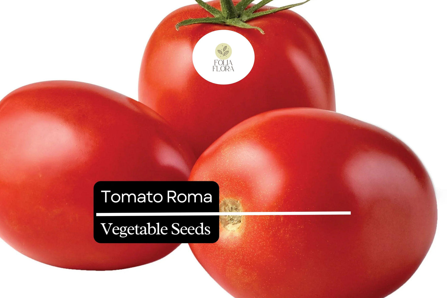 50 Seeds Tomato Roma (Solanum lycopersicum) – Classic Heirloom Plum Tomato for Sauces, Soups, and Canning