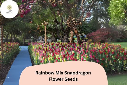 Antirrhinum majus Rainbow Mix Snapdragon Seeds – 1000+ Multicolor Blooms for Vibrant Garden & Cut Flowers